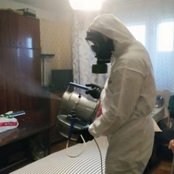 Дезинфекция от клопов в Кушве
